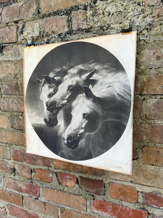 Pharaoh’s Horses Print