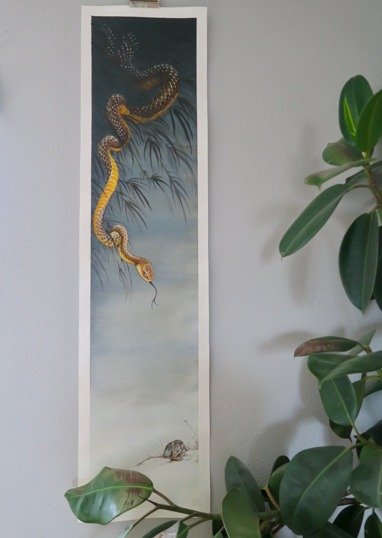 SMALL Don’t Breathe Snake Print