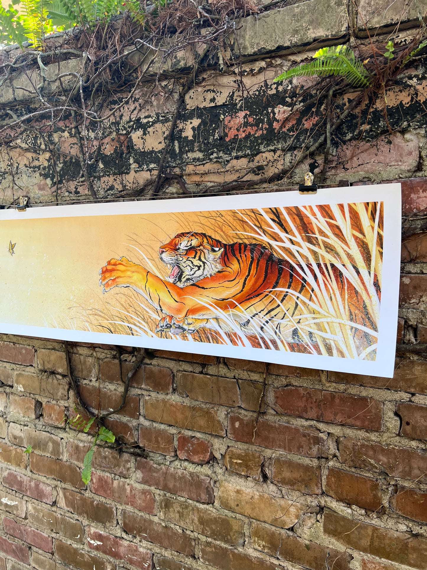 Quarry Tiger Print