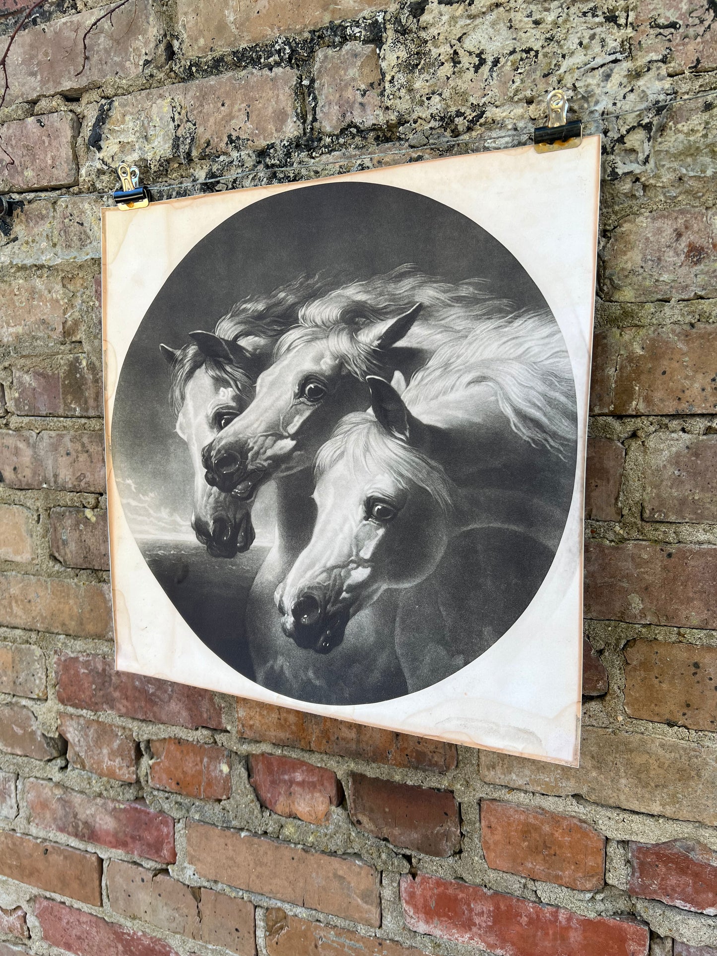 Pharaoh’s Horses Print