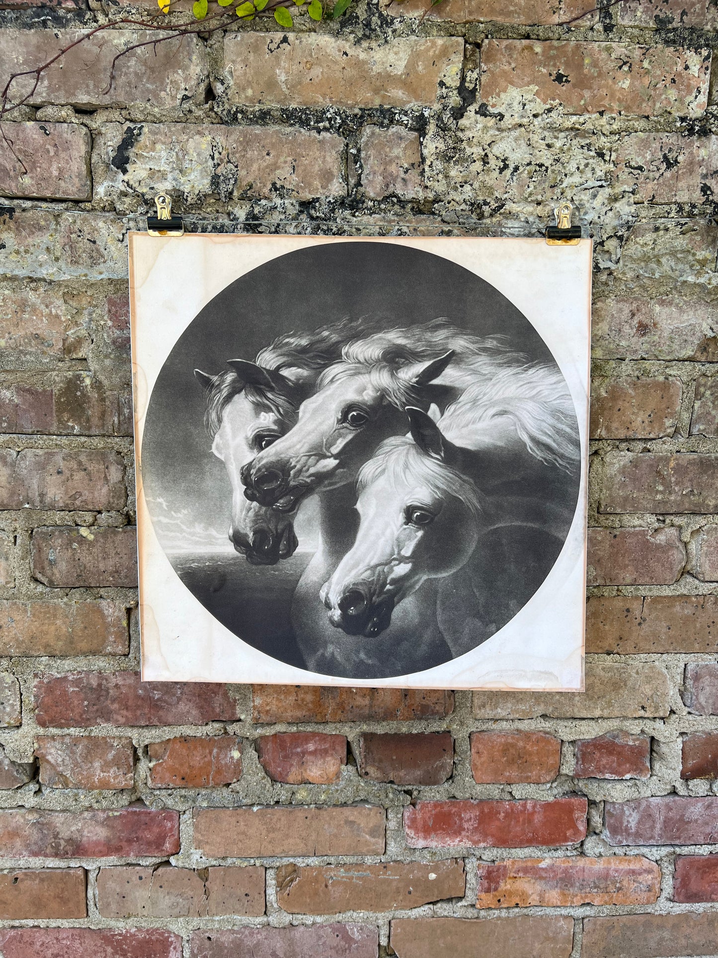 Pharaoh’s Horses Print